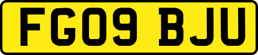 FG09BJU