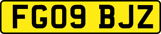 FG09BJZ