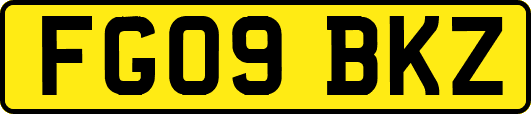 FG09BKZ