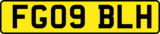 FG09BLH