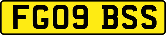 FG09BSS