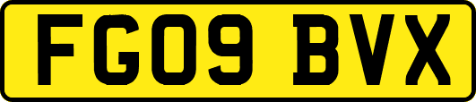 FG09BVX