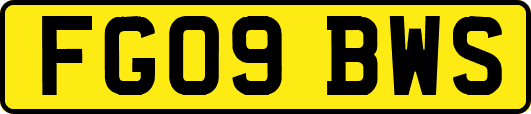 FG09BWS