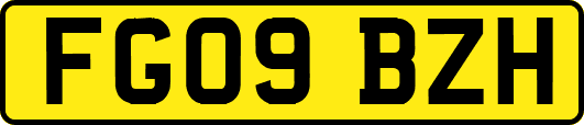 FG09BZH