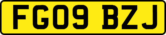 FG09BZJ