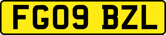 FG09BZL