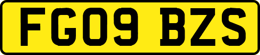 FG09BZS