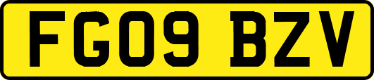 FG09BZV