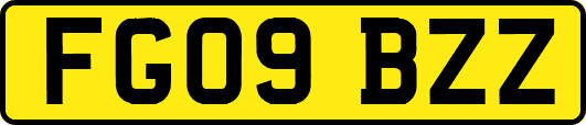 FG09BZZ