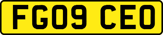 FG09CEO