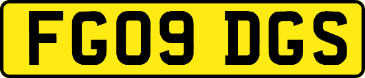 FG09DGS