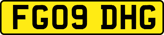 FG09DHG