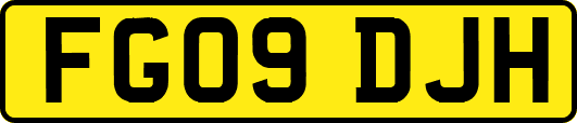 FG09DJH