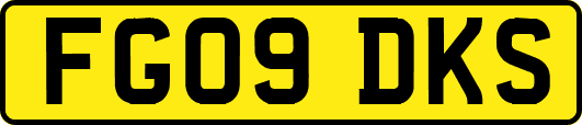 FG09DKS