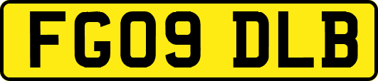 FG09DLB