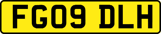 FG09DLH