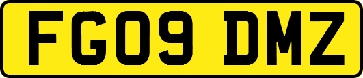 FG09DMZ