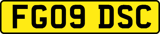 FG09DSC