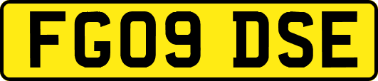 FG09DSE