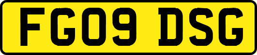 FG09DSG