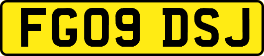 FG09DSJ