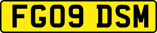 FG09DSM