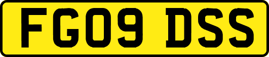 FG09DSS