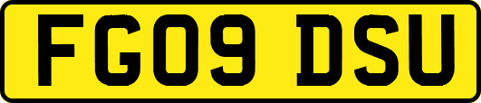FG09DSU