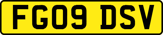 FG09DSV