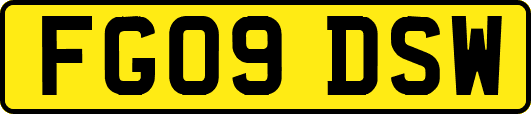 FG09DSW