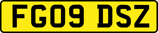 FG09DSZ