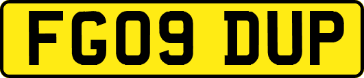 FG09DUP