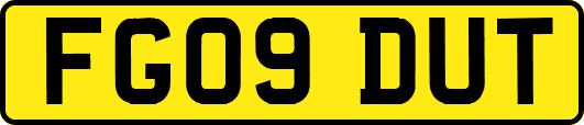 FG09DUT