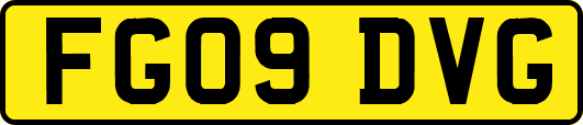 FG09DVG