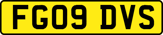 FG09DVS