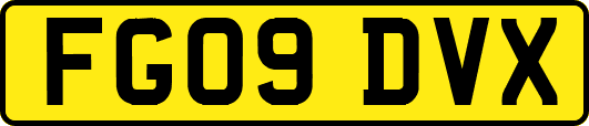 FG09DVX