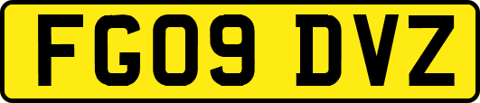 FG09DVZ