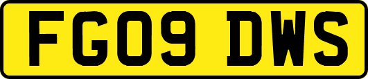 FG09DWS