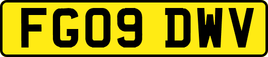 FG09DWV