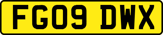 FG09DWX