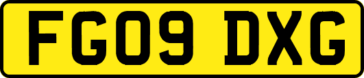 FG09DXG
