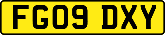 FG09DXY
