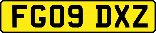 FG09DXZ