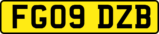 FG09DZB