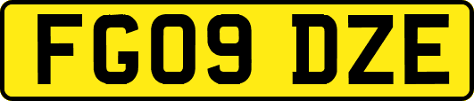 FG09DZE