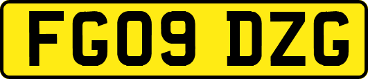 FG09DZG