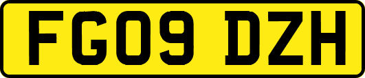 FG09DZH