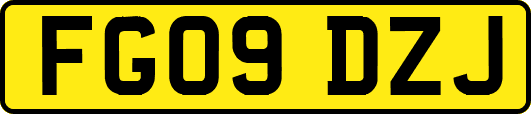 FG09DZJ