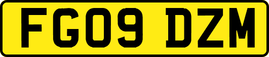 FG09DZM
