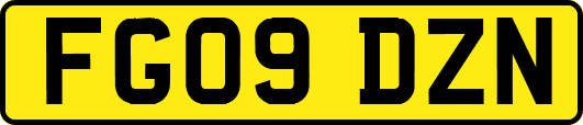 FG09DZN